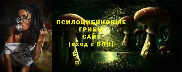 дмт Беломорск