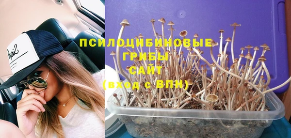 амфетамин Белокуриха