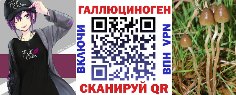 Псилоцибиновые грибы ЛСД  Горно-Алтайск 