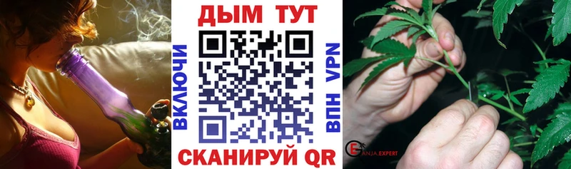 дарнет шоп  ссылка на мегу ссылки  Канабис White Widow  Горно-Алтайск 